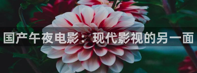 樱花视频大全免费观看电视剧在线观看动漫