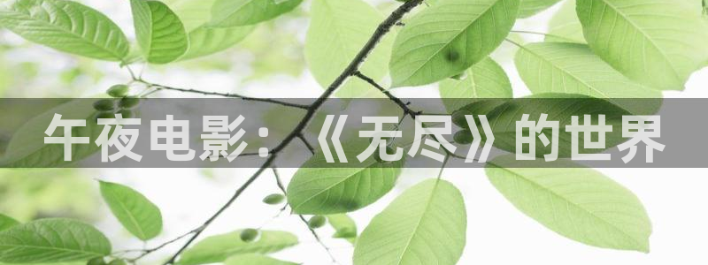 星空糖心