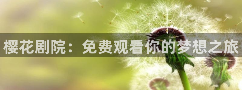 樱花视频免费观看电视剧电影大全