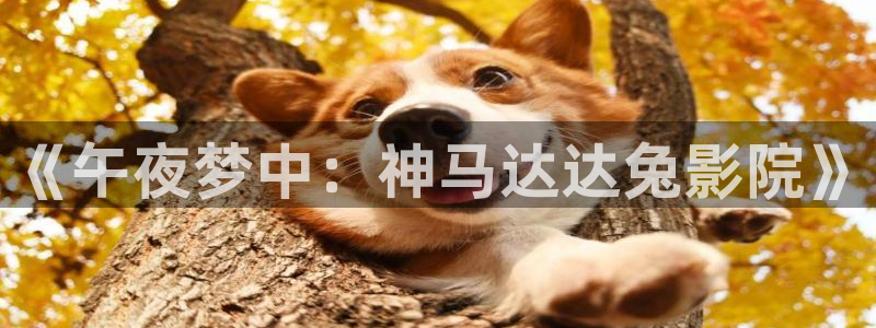 女士的品格樱花视频