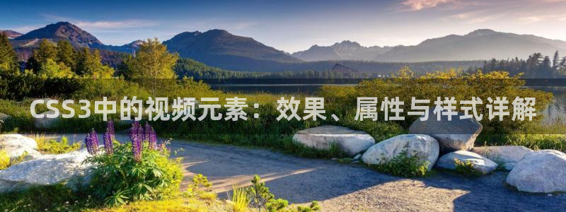 樱花视频看电影