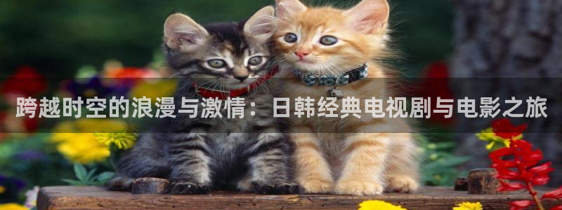 樱花视频免费电影在线观看