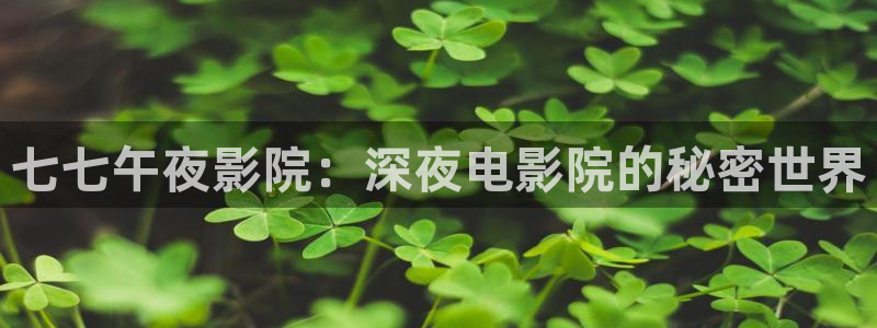 新生星空影视