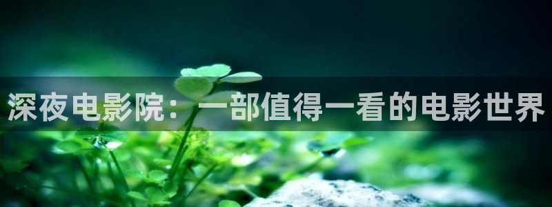 星空电影视频