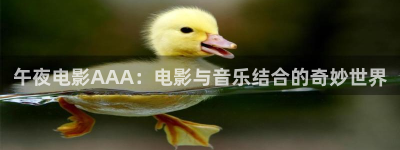 樱花视频免费高清视频
