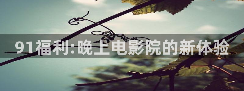 樱花视频电视剧免费观看在线观看