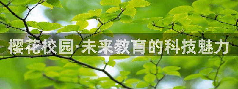 星空高清