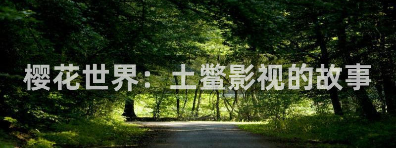 星空高清免费观看完整电影