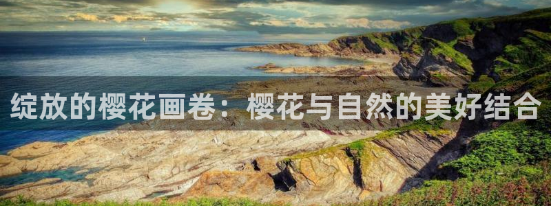 樱花视频免费观看高清完整版电影