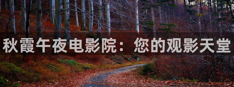 樱花视频电视剧