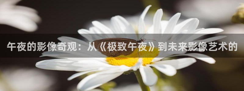 星空视频网站