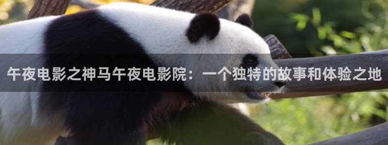 樱花视频在线观