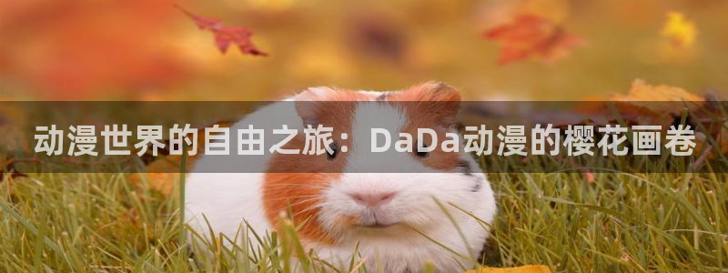 星空影视旧版下载