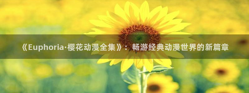 星空影视免广告