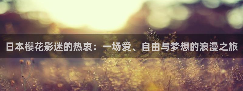 光影樱花视频