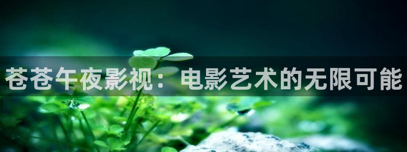 樱花视频最新电影免费看