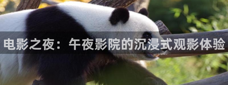 汾阳星空国际影城
