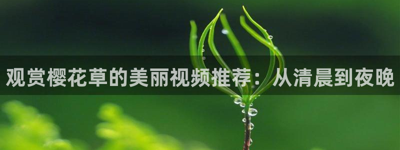 星空电影天堂