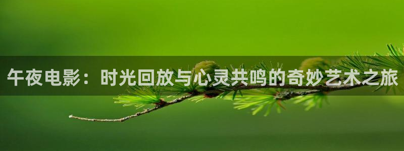 樱花视频2025