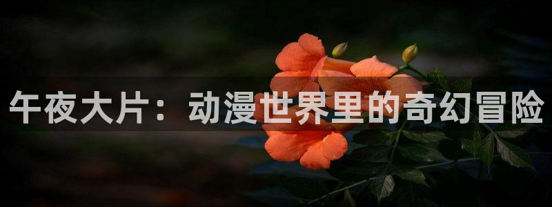 大丈夫高清免费观看星空