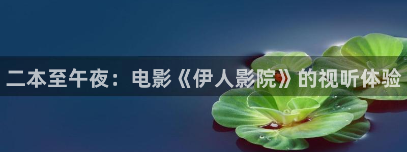 电影网 星空