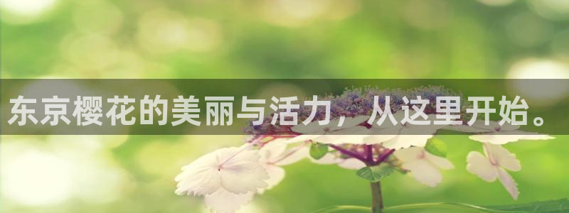 樱花视频星辰影院