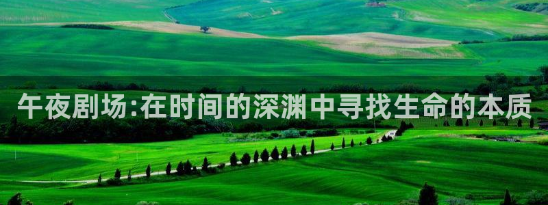 星空影视官网免费进入