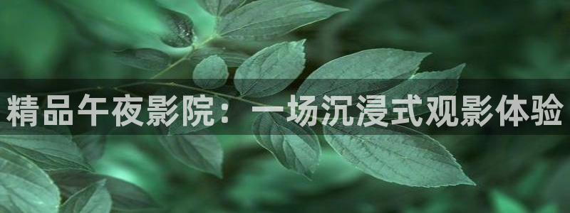 樱花视频6080新视觉电视剧免费上线