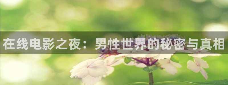 星空影视在线免费观看电影