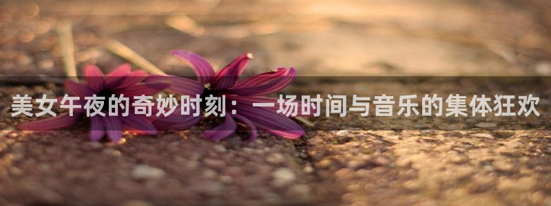 星空在线观看免费高清电影