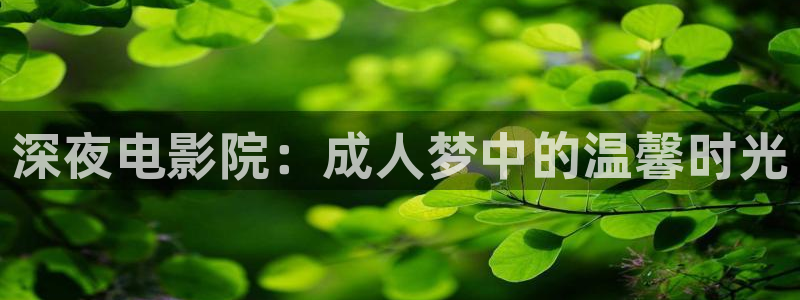 星空传媒在线播放