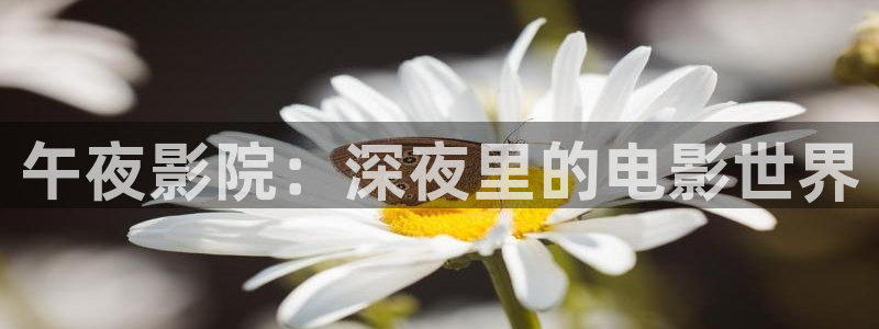 星空无限传媒影院