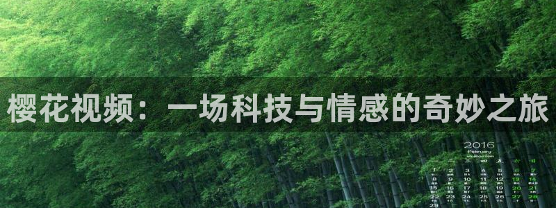 韩国电影樱花视频