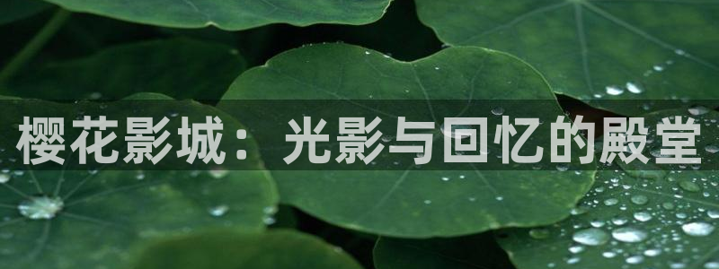 万里归途在线观看高清版策驰星空