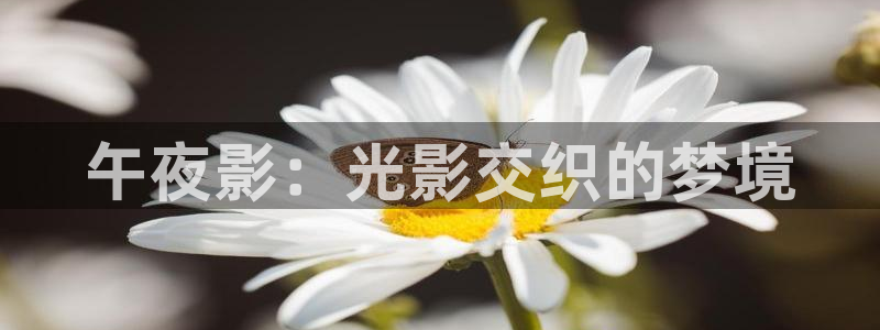 关于星空的电影有哪些